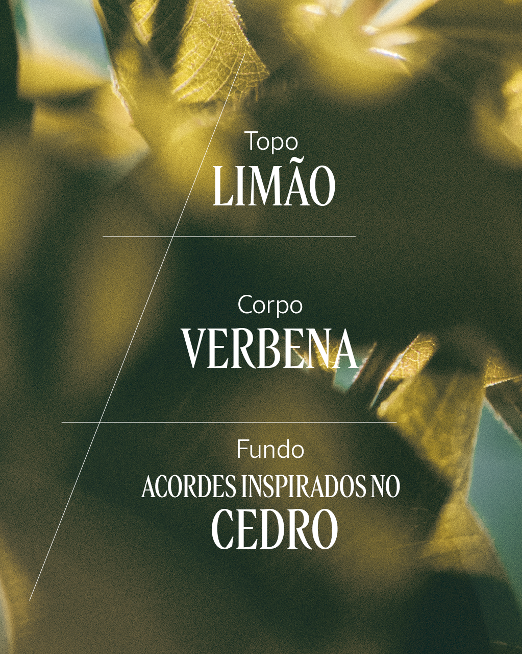 Desodorante Col&ocirc;nia de Verbena C&iacute;trica 300ml, , large